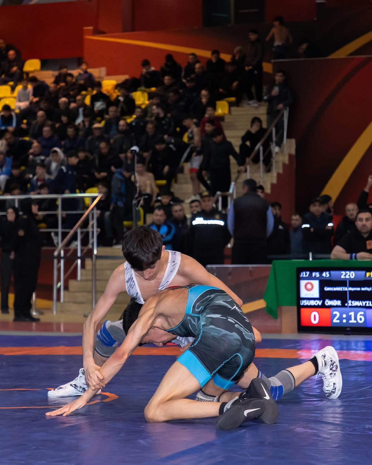 Sərbəst güləş Sərbəst güləş